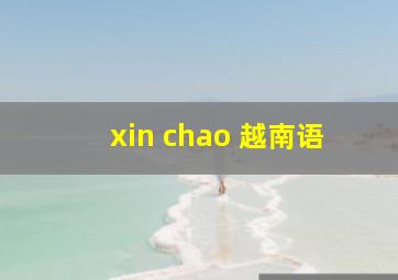 xin chao 越南语